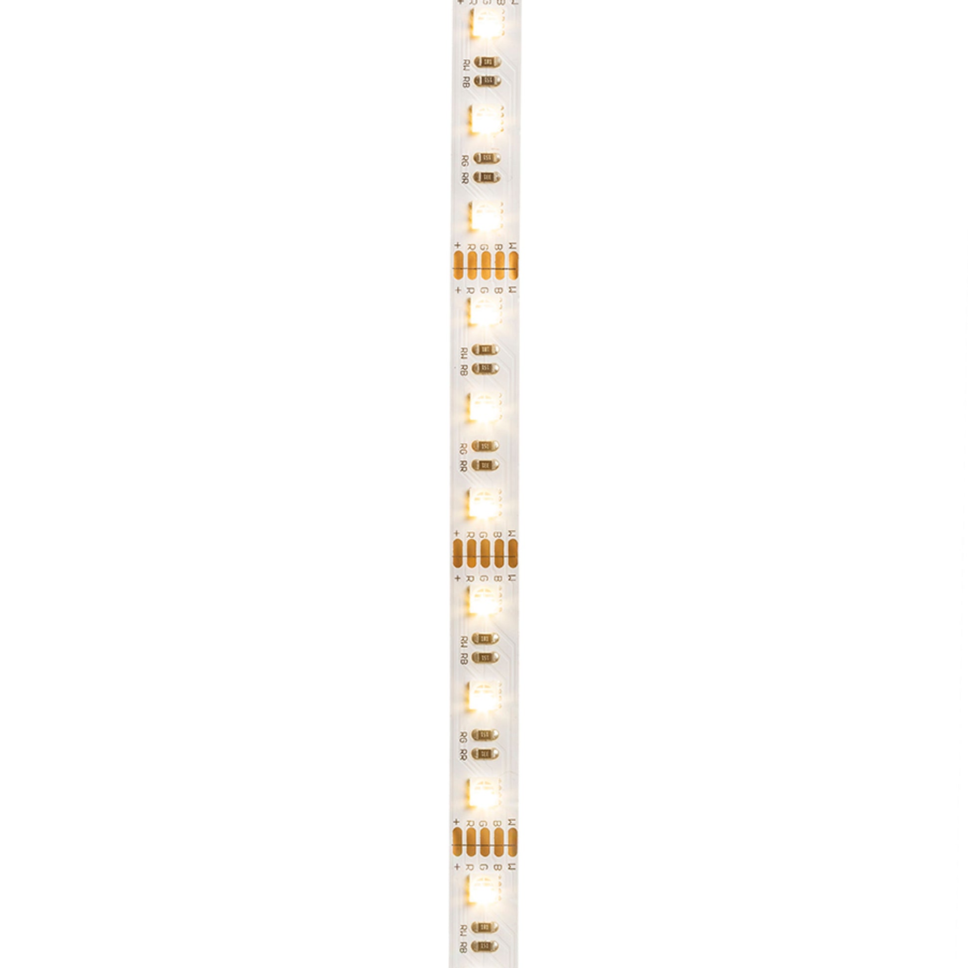 RENDL LED-strip LED STRIP ORION RGBW LED-strip 5m   12V= LED 96W 120°  RGBW G13820 1