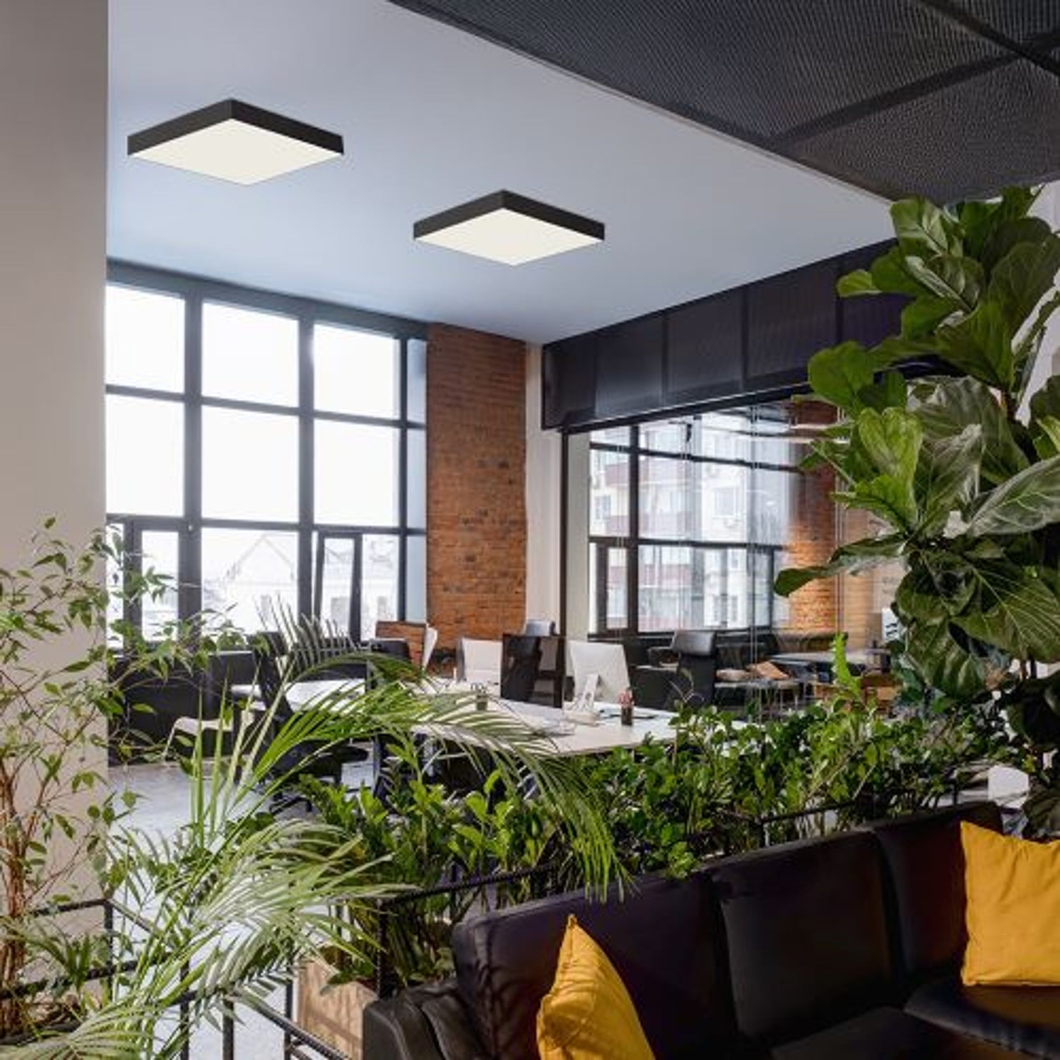 Lămpi de tavan living