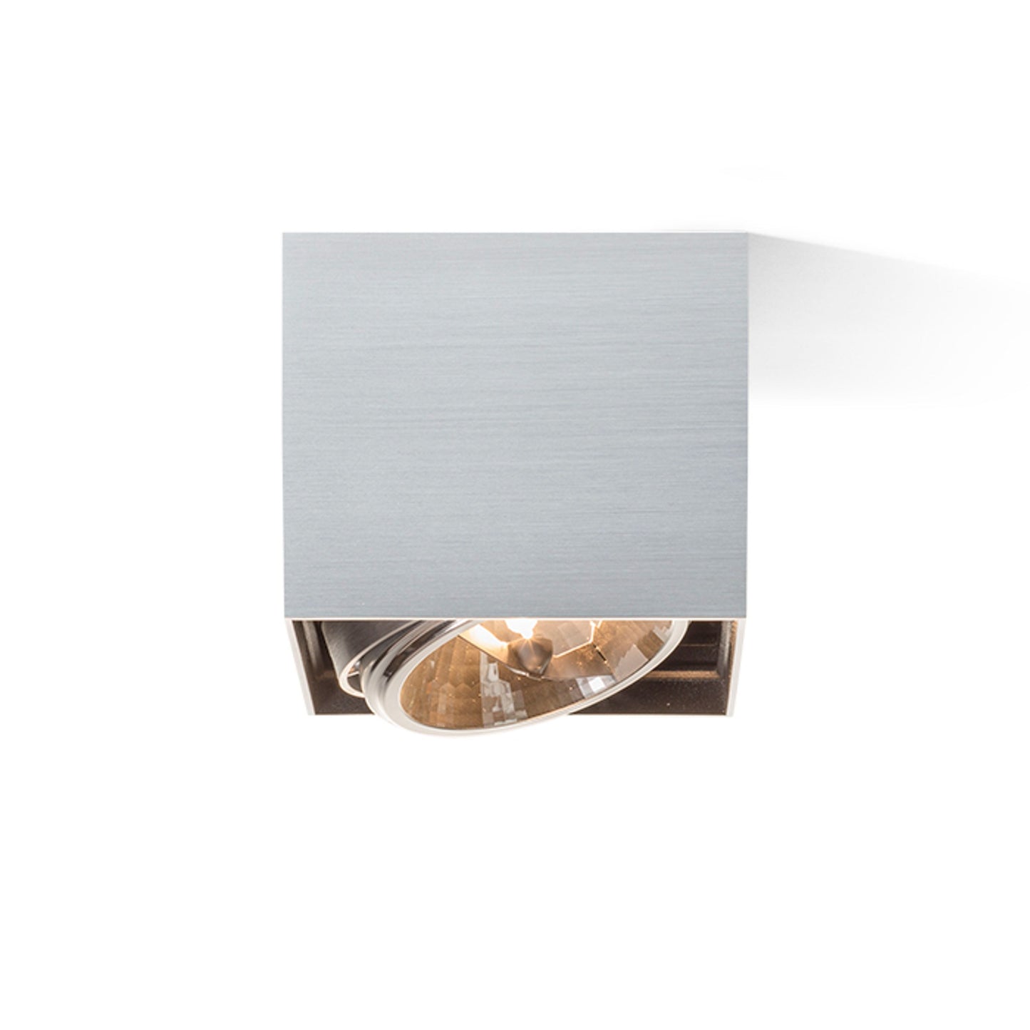 RENDL surface mounted lamp DEAN I brushed aluminum 230V/12V G53 50W R10610 3