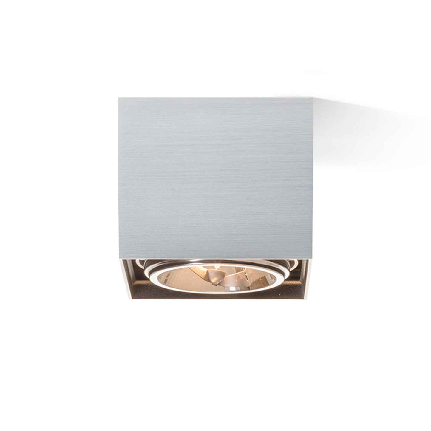 RENDL surface mounted lamp DEAN I brushed aluminum 230V/12V G53 50W R10610 4