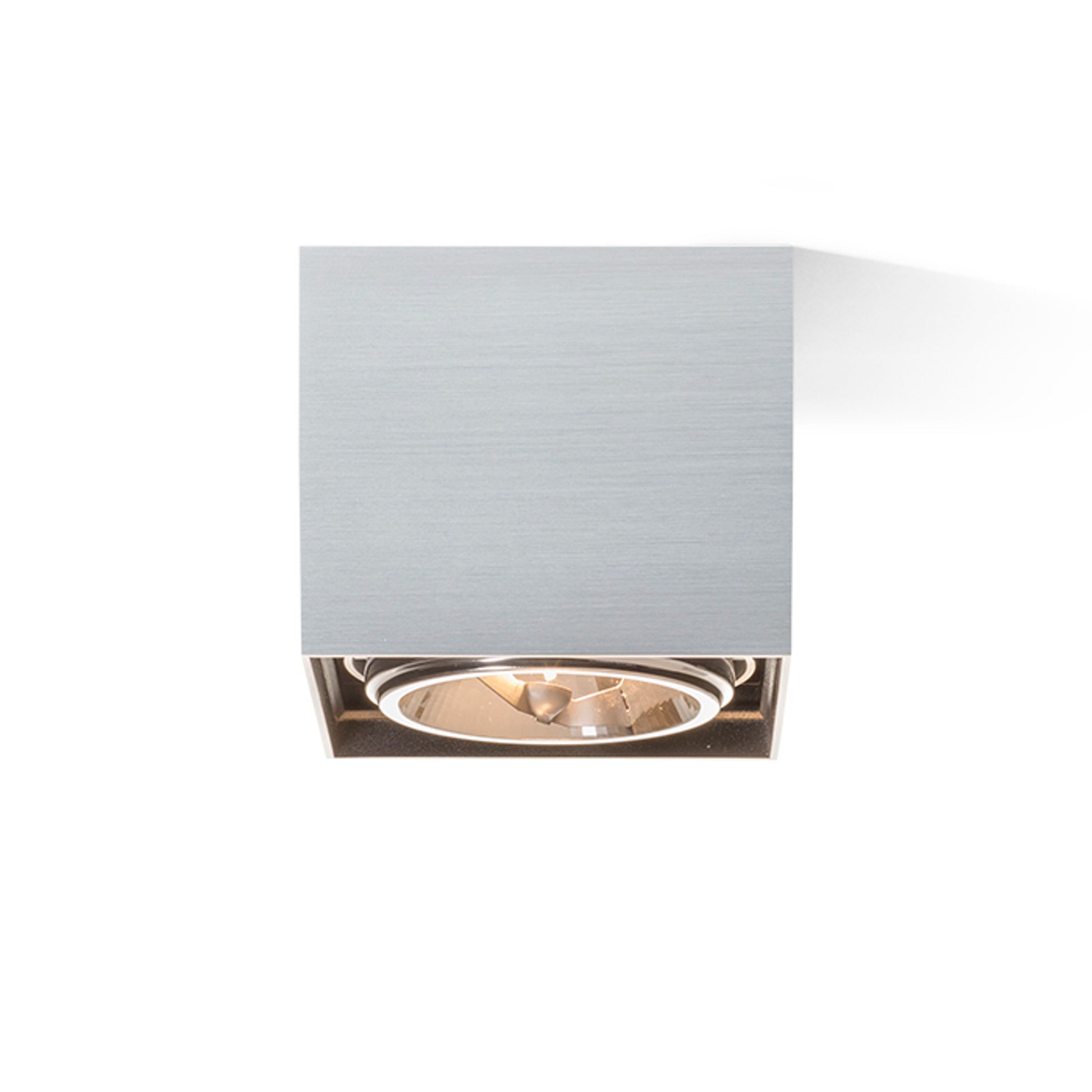 RENDL surface mounted lamp DEAN I brushed aluminum 230V/12V G53 50W R10610 4