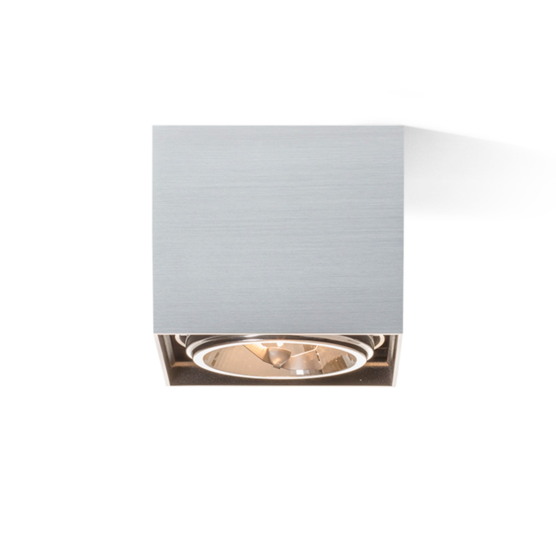 RENDL surface mounted lamp DEAN I   brushed aluminum 230V/12V G53 50W R10610 4