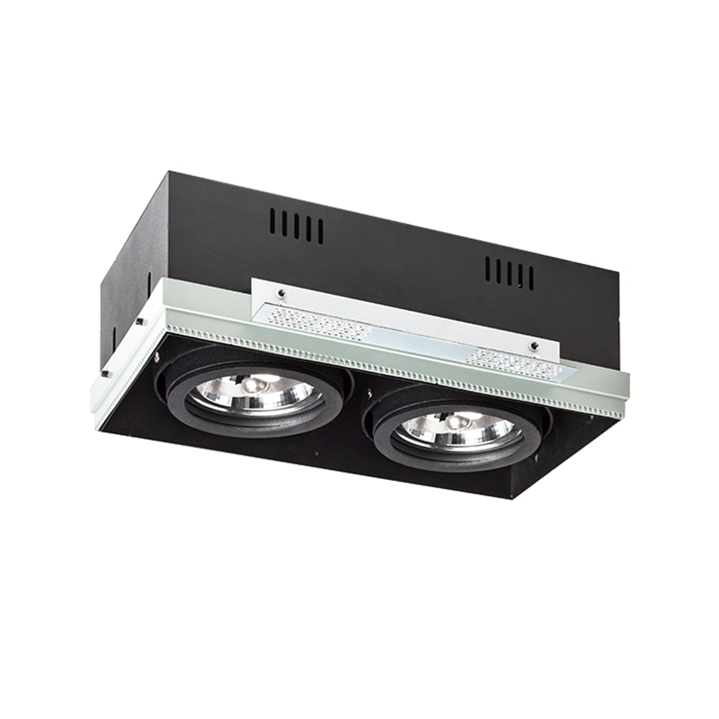 RENDL recessed light ELECTRA II  black  12V LED G53 2x15W R12051 3