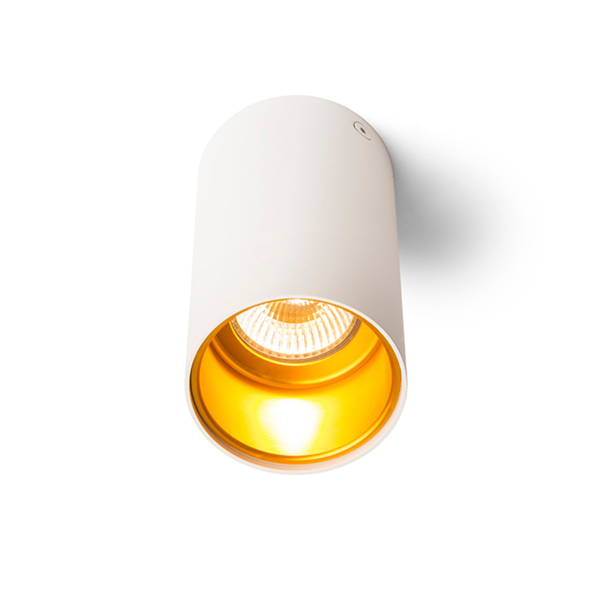 RENDL surface mounted lamp TUBA ceiling matte white/gold 230V LED GU10 7W R12745 2
