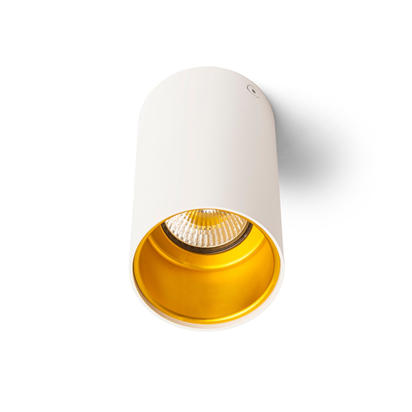 RENDL surface mounted lamp TUBA ceiling matte white/gold 230V LED GU10 7W R12745 3