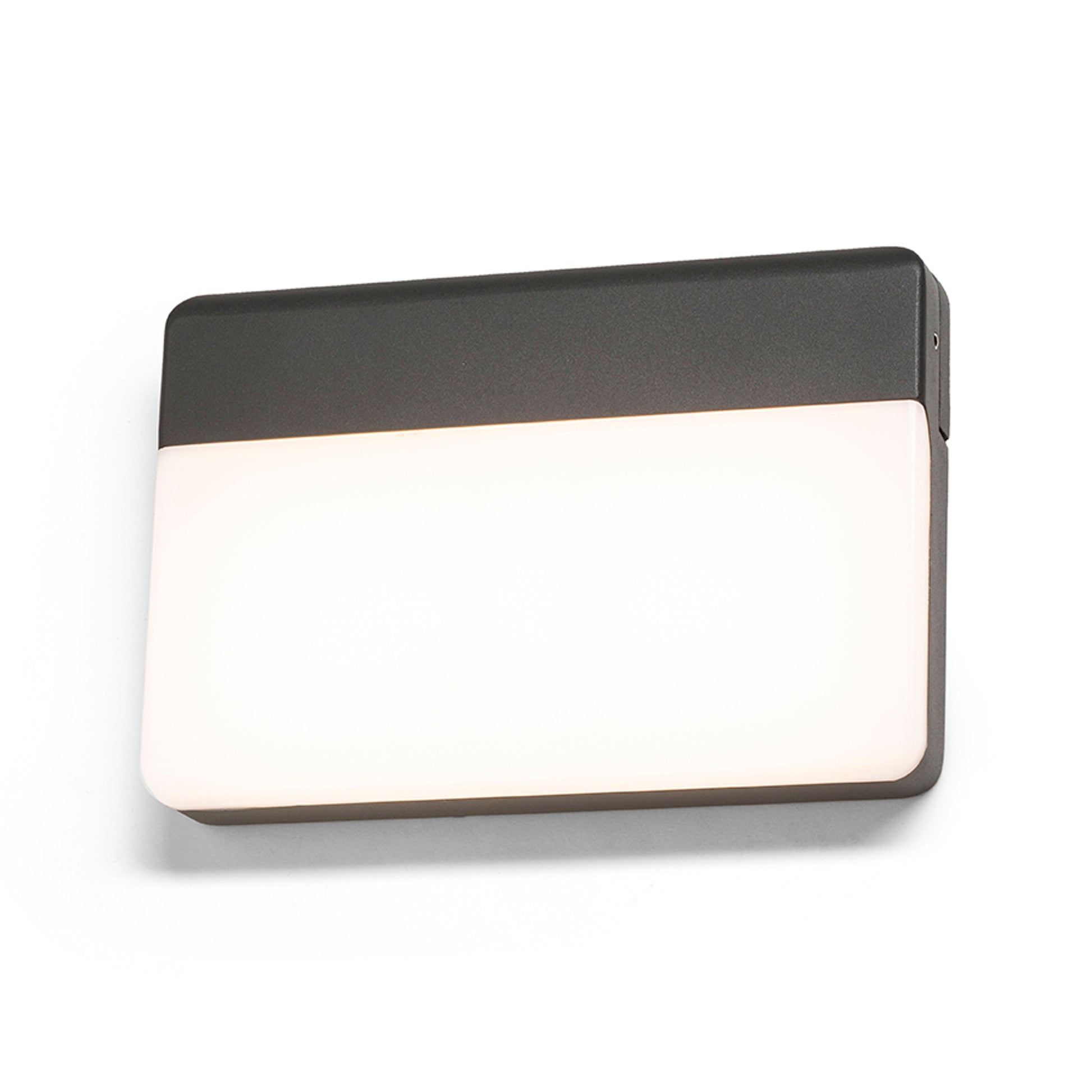 RENDL outdoor lamp GAVIN wall anthracite grey frosted acrylic 230V LED 13W IP65  3000K R13756 2