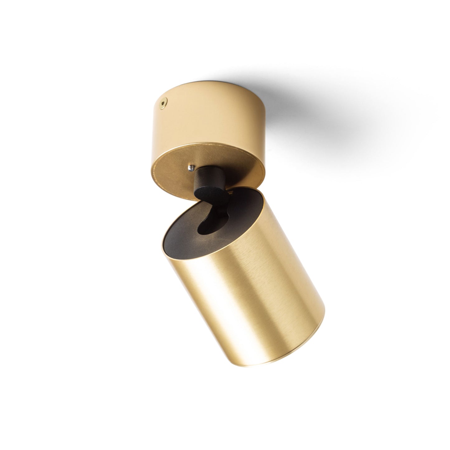 RENDL spotlight DARIO ceiling  brushed brass 230V LED GU10 9W R13869 3