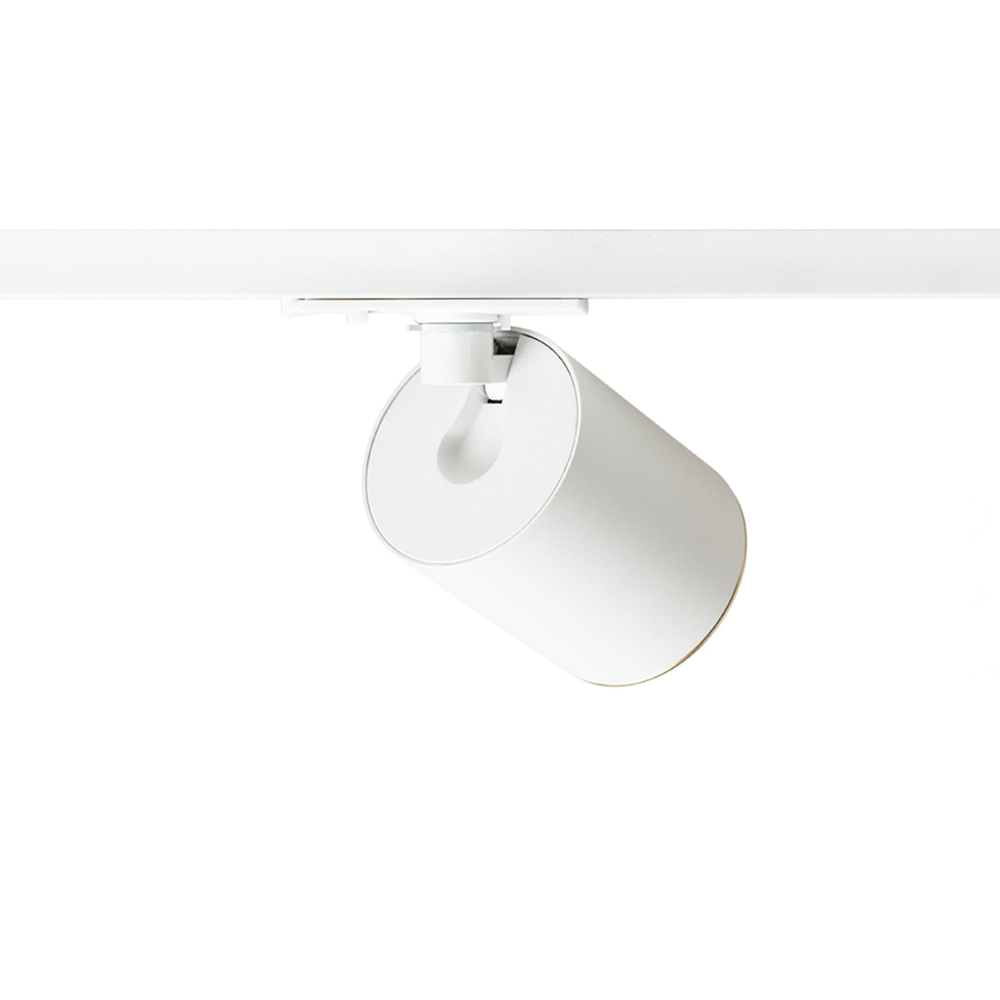 RENDL 1-circuit track system DARIO for 1-circuit tracks white brushed brass 230V LED GU10 9W R13870 3