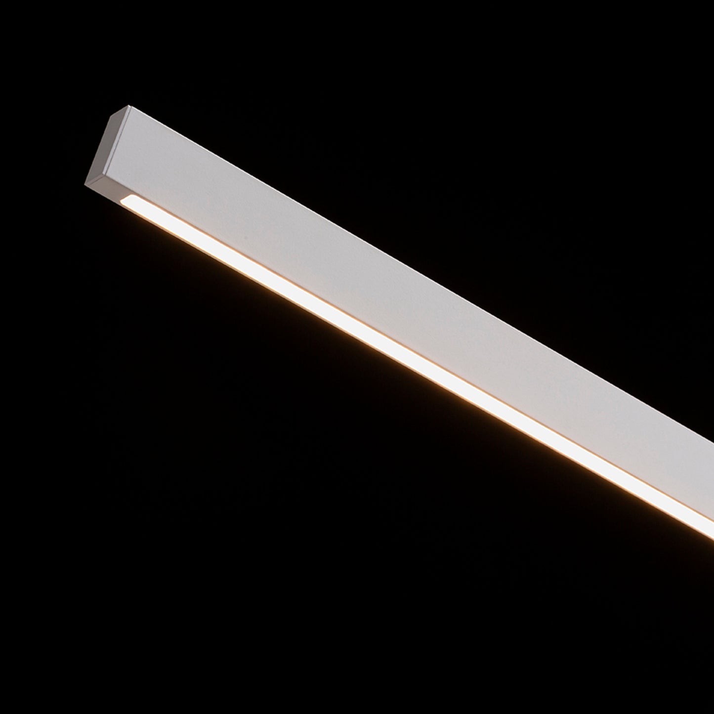 RENDL table lamp ROD DIMM table white  230V LED 5.5W  3000K 4000K 6500K R14294 3